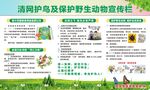 清网护鸟及保护野生动物宣传栏