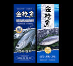 金枪鱼海报