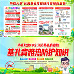 基孔肯雅热