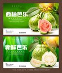 芭乐海报