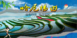 哈尼梯田  