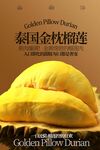 泰国金枕榴莲水果海报