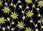 黄色花卉黑色背景图案
