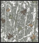 枯树  热带树 枫叶