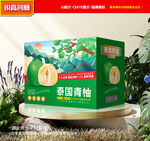 青柚包装 蜜柚礼盒