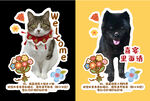 可爱猫狗装饰贴纸展示