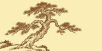 手绘中式长寿松古松图
