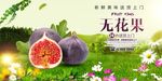 无花果