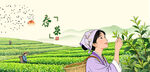 茶园采茶女新茶春茶