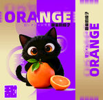 黑猫抱橙 萌趣活力瞬间