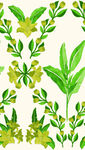 清新手绘花卉绿叶图案