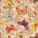 多彩蝴蝶图案纹理背景