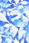 扫描蓝白水彩风叶片照片