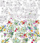 彩色花卉图案与黑白线稿对比