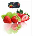 新鲜诱人的草莓果实