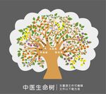 中医经络生命树