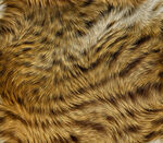 棕色毛绒纹理特写