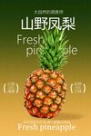 山野凤梨水果宣传海报