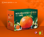 砂糖桔包装 蜜桔礼盒