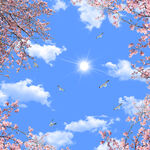 春日蓝天繁花飞鸟美景