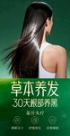 草本养发30天焕亮秀发