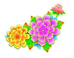 多彩花卉图案