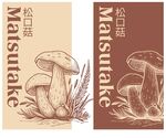 手绘松茸松口菇