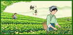茶园采茶少女