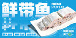 鲜带鱼