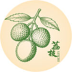 手绘荔枝插画