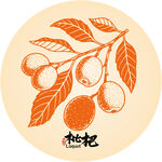 手绘枇杷枝叶图