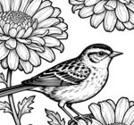 花鸟线描线稿图