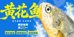 黄花鱼 