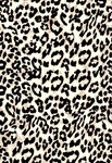 豹纹图案布料纹理