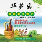 华笋园新鲜脆嫩土特产