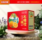 橙子包装 沃柑礼盒