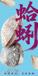 蛤蜊 