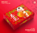 桔子礼盒 春见包装