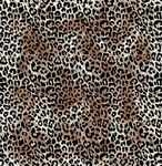 豹纹图案纹理