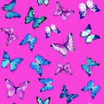粉色背景上的多彩蝴蝶图案