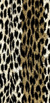 豹纹图案布料纹理特写