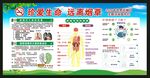 世界无烟日宣传栏
