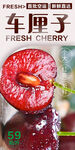 车厘子 