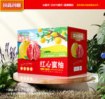 柚子包装 蜜柚礼盒