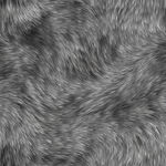 灰色质感高清毛发皮毛纹理