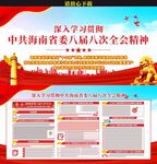 海南省委八届八次全会