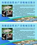 鱼测试性水产养殖项目简介