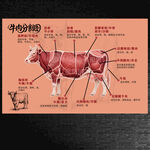 牛肉分割图