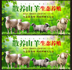 散养山羊展板