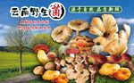 野生菌广告  